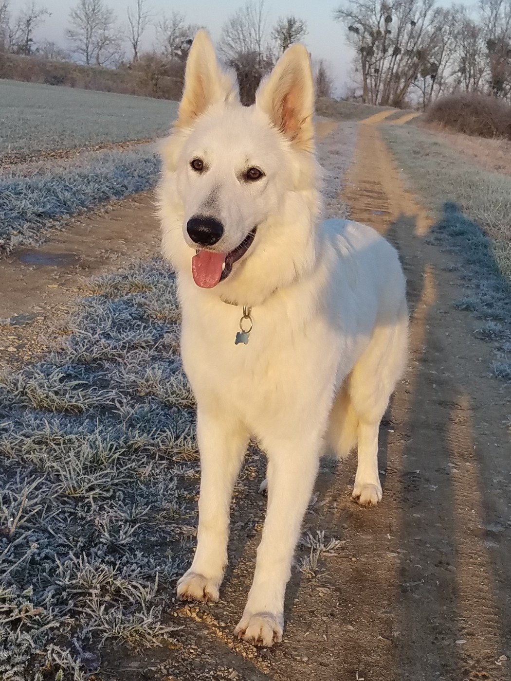Uvana de la l'Egende Boréale De La Légende Boréale